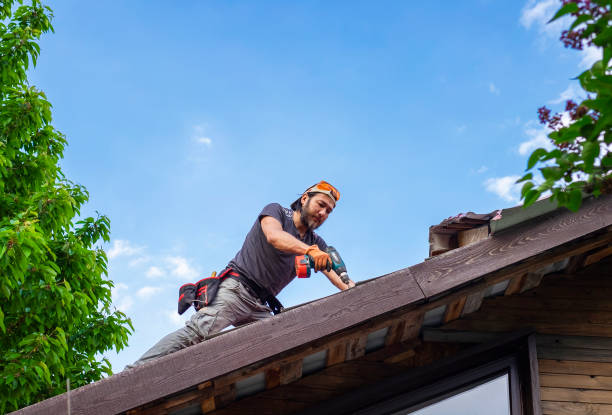 Best Slate Roofing  in Vidor, TX